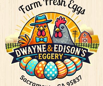 Egg Carton Sticker - 1