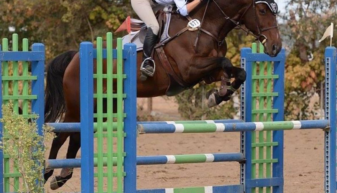 Barbee, Andrea FOR WEB