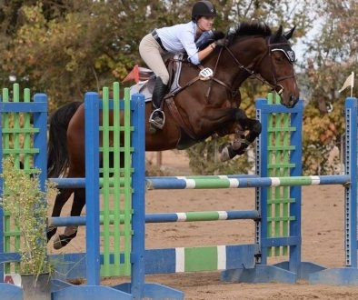 Barbee, Andrea FOR WEB