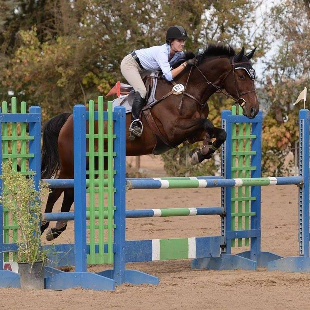 Barbee, Andrea FOR WEB