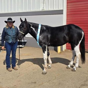 Shine and Body Condition