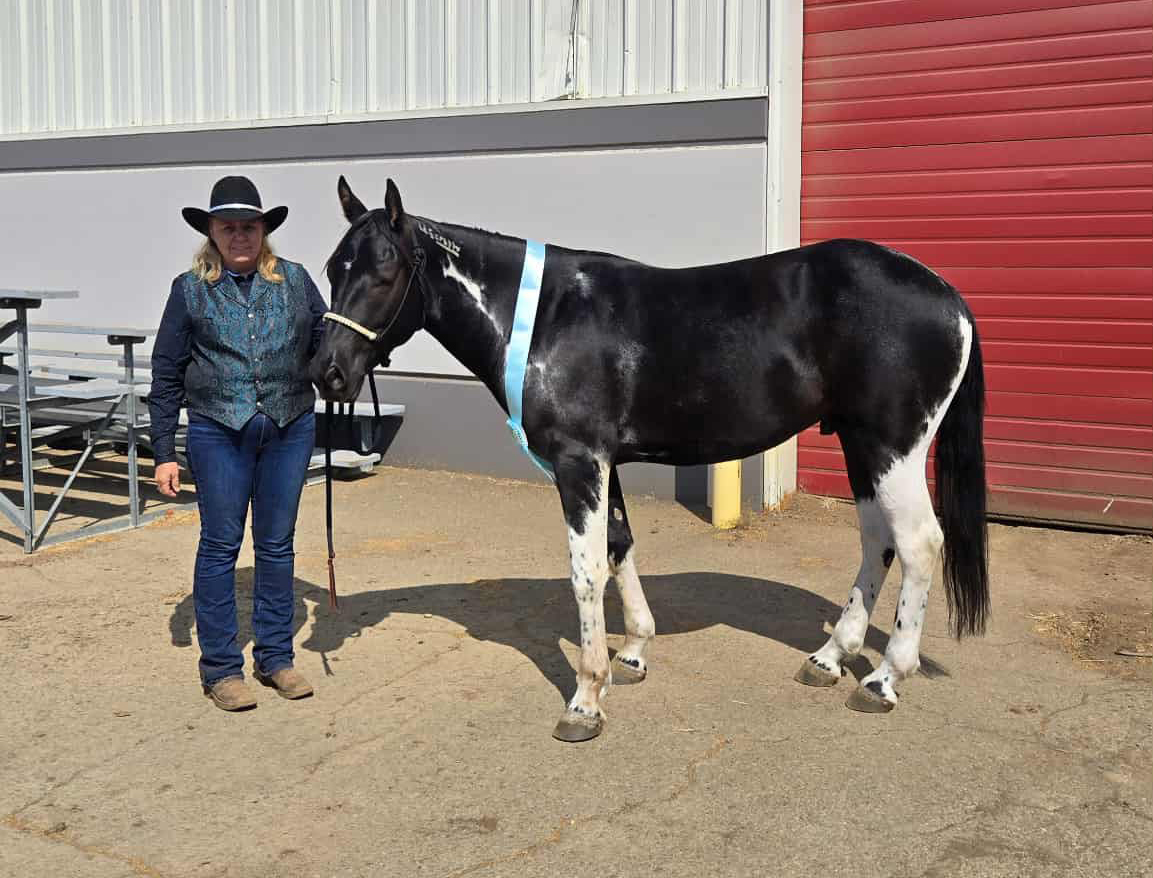 Shine and Body Condition