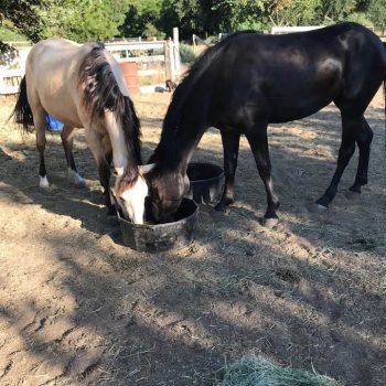 Nothing Better Than This Feed!