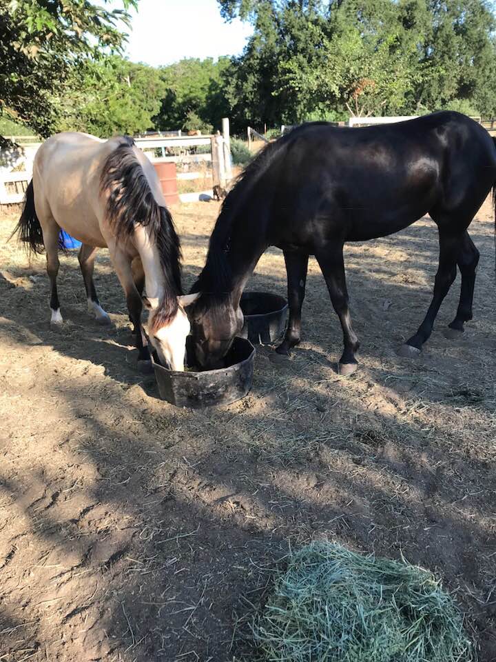 Nothing Better Than This Feed!