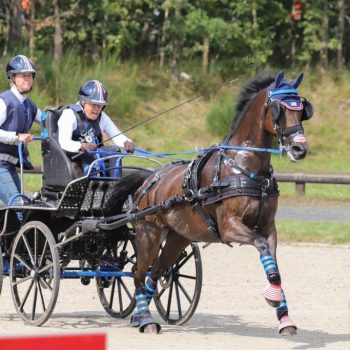 They Are All Super Fit