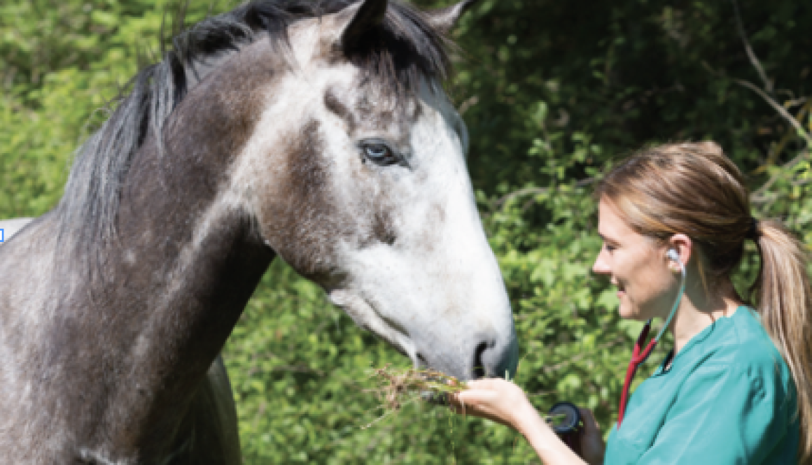 Screenshot 2025-10-08 at 4.50.52 PM