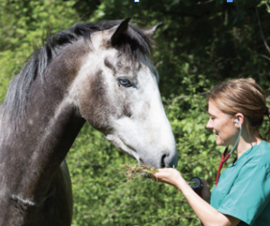 Screenshot 2025-10-08 at 4.50.52 PM