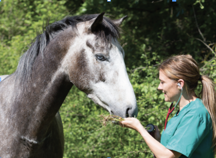 Screenshot 2025-10-08 at 4.50.52 PM