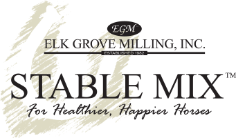 StableMix_logo_200